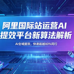 2026年5月阿里国际站AI运营提效平台新算法解析新课详解-雨叶虚拟资源网
