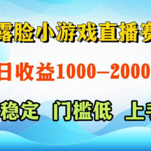 不露脸小游戏直播赛道玩法详解 支持AI/脚本/真人操作收益稳定-雨叶虚拟资源网