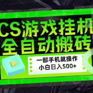 CSGO游戏搬砖盈利玩法 全自动饰品捡漏小白可做赚钱项目解析-雨叶虚拟资源网