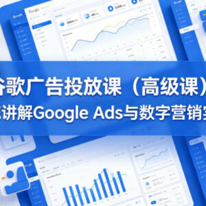 2024更新谷歌广告高级投放课 系统学习Google Ads数字营销实战-雨叶虚拟资源网