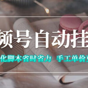 视频号自动挂G项目详解 操作模式收益及注意事项说明-雨叶虚拟资源网