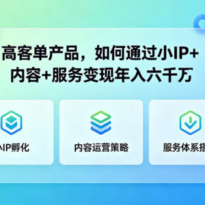 高客单二手奢侈品 依托小IP+内容+服务年入6000万实操攻略-雨叶虚拟资源网