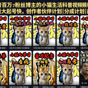 抖音百万粉博主亲授 猫系科普账号零基础起号变现教程-雨叶虚拟资源网