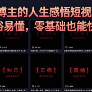 灰太狼人生感悟短视频制作全教程 零基础上手含变现玩法教学-雨叶虚拟资源网