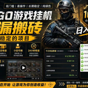 CSGO游戏饰品搬砖项目详解 全自动操作无需玩游戏可盈利-雨叶虚拟资源网