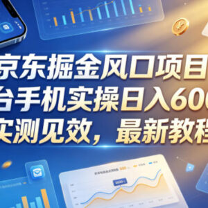2026京东掘金风口项目实操指南 3台手机低门槛增收玩法详解-雨叶虚拟资源网