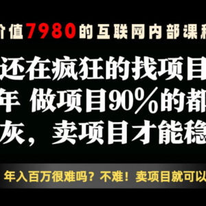 2026年互联网卖项目盈利拆解 低门槛副业变现实操教程-雨叶虚拟资源网