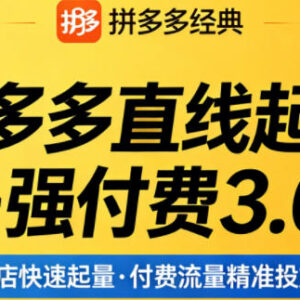 2026年4月更新拼多多强付费3.0玩法 教你稳起店控投产破流量瓶颈-雨叶虚拟资源网