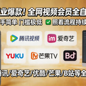 零基础操作闲鱼卖全网视频会员副业 全自动发货易上手可稳定出单-雨叶虚拟资源网
