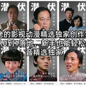 影视动漫解说从零到一实战教学 新手可落地签约抖音精选独家-雨叶虚拟资源网