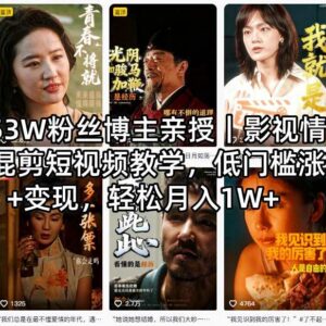 抖音53万粉博主亲授 影视情绪共鸣混剪涨粉变现教程-雨叶虚拟资源网