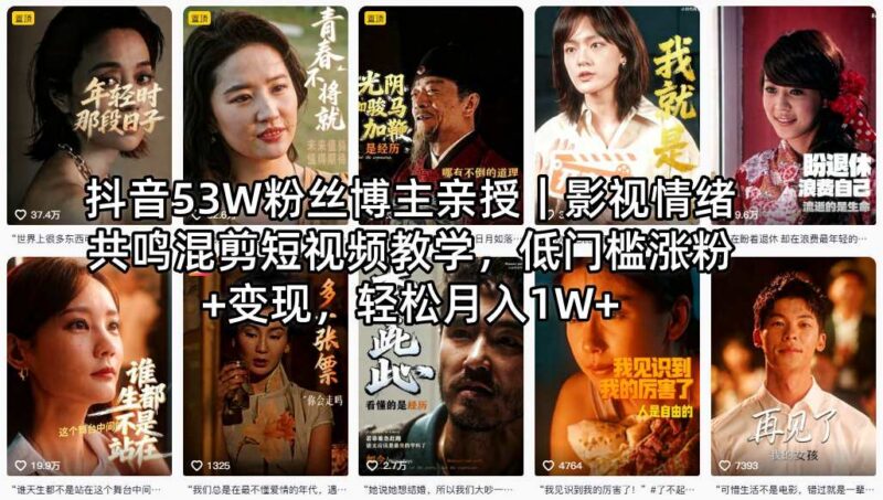 抖音53万粉博主亲授 影视情绪共鸣混剪涨粉变现教程