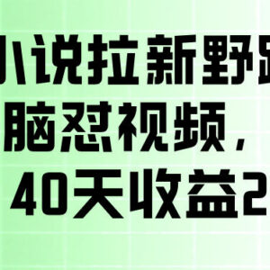 番茄小说拉新无门槛实操玩法 剪视频发作品单佣10元易上手-雨叶虚拟资源网
