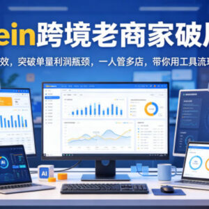 Shein跨境商家破局实操课 AI提效突破单量利润瓶颈玩转多店矩阵-雨叶虚拟资源网