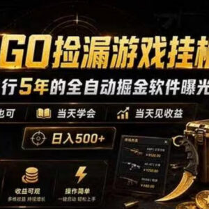 CSGO饰品自动捡漏掘金项目详解 新手易上手操作门槛低-雨叶虚拟资源网