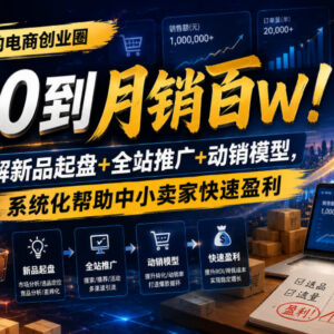 电商创业圈全链路运营实操课 拆解起盘推广助力中小卖家盈利-雨叶虚拟资源网