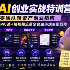 单人零团队AI创业实战指南 数字人IP打造短视频变现全攻略-雨叶虚拟资源网