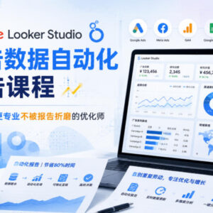 Google Looker Studio广告数据自动化报告课程 广告优化师实操教程-雨叶虚拟资源网