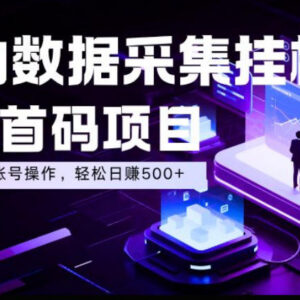 全自动淘宝数据采集项目介绍 新手易上手支持多账号操作-雨叶虚拟资源网