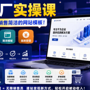 网站工厂实操课教程 无需客服销售网站模板自动赚钱方法-雨叶虚拟资源网