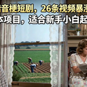 AI制作英语谐音梗短剧玩法 0成本新手短视频涨粉起号项目-雨叶虚拟资源网