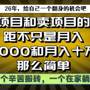 做项目与卖项目收入差距解析 互联网创业盈利底层逻辑揭秘-雨叶虚拟资源网