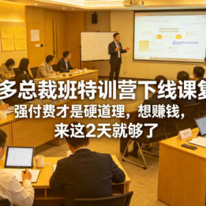 拼多多总裁班2天线下特训营复盘 强付费玩法破解店铺盈利瓶颈-雨叶虚拟资源网