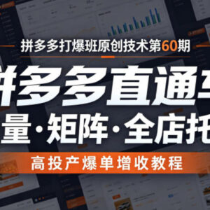 拼多多打爆班第60期 直通车高投产爆单矩阵全店托管实操教程-雨叶虚拟资源网