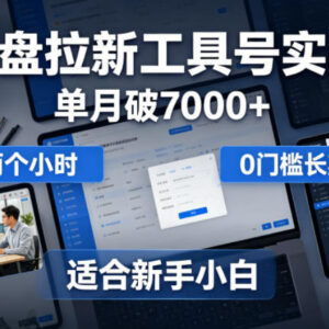 网盘拉新工具号实战经验分享 新手每天2小时零门槛可长期做-雨叶虚拟资源网