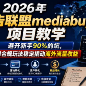 2026年海外广告联盟mediabuy实操教学 合规玩法避新手坑赚收益-雨叶虚拟资源网