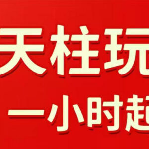 2026年6月更新 拼多多擎天柱玩法 多维度实操教你快速起店稳定获流-雨叶虚拟资源网