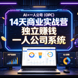 AI×一人公司14天商业实战营 搭建可独立盈利的个人商业系统-雨叶虚拟资源网