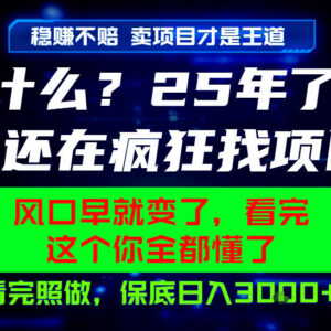 2026年创业别盲目找项目 卖项目知识付费稳定变现玩法解析-雨叶虚拟资源网
