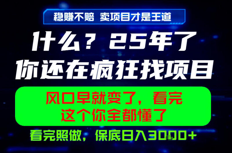 2026年创业别盲目找项目 卖项目知识付费稳定变现玩法解析