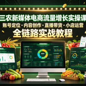 三农新媒体电商运营实操课 账号定位到变现全链路实战教程-雨叶虚拟资源网