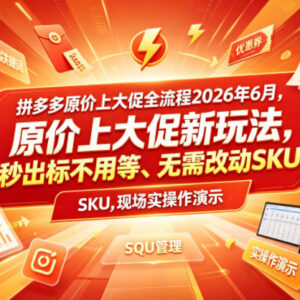 2026年拼多多原价上大促全流程 无需改SKU秒出标玩法详解-雨叶虚拟资源网