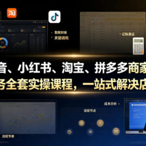 抖音小红书淘宝拼多多电商财务实操课 一站式解决记账报税全流程问题-雨叶虚拟资源网