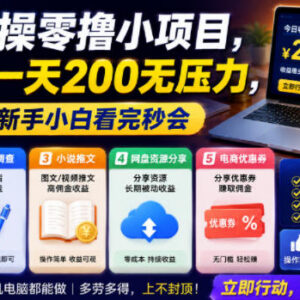 5个适合新手小白的零撸实操小项目 操作简单易上手好变现-雨叶虚拟资源网