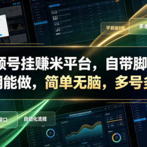 2024视频号任务赚钱项目详解 自带全自动脚本多号操作长期可做-雨叶虚拟资源网