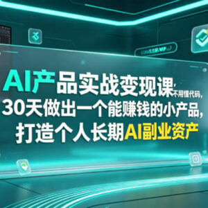 无代码AI产品实战课 30天打造可变现个人长期AI副业资产-雨叶虚拟资源网