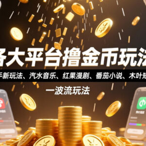 多平台撸金币玩法汇总 快手汽水音乐等一波流实操教程-雨叶虚拟资源网