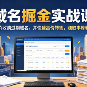 域名交易掘金实战课 低价收购过期域名高价转售实操教学-雨叶虚拟资源网