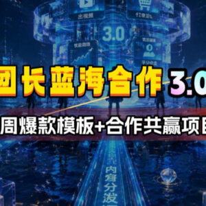 团长蓝海合作3.0项目详解 附每周爆款模板及共赢玩法指南-雨叶虚拟资源网
