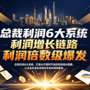 总裁利润6大系统课程详解 助力企业打通开源节流利润增长链路-雨叶虚拟资源网