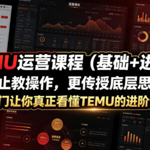 TEMU基础+进阶运营课程 从0搭建盈利店铺掌握运营核心思维-雨叶虚拟资源网