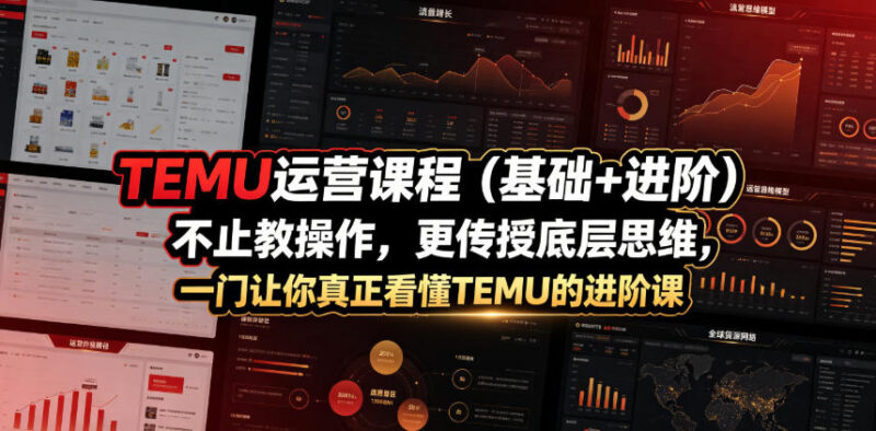 TEMU基础+进阶运营课程 从0搭建盈利店铺掌握运营核心思维