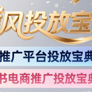 小红书千帆推广与电商投放宝典 商家投流运营实操学习指南-雨叶虚拟资源网