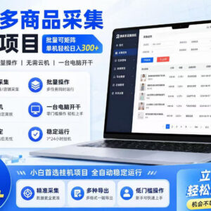 拼多多商品信息采集项目详解 批量矩阵运营长期稳定可落地-雨叶虚拟资源网