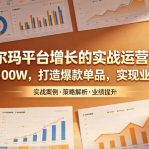 沃尔玛平台实战运营课程 从0到1打造爆款单品提升店铺业绩-雨叶虚拟资源网