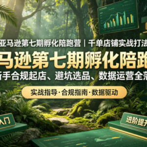 亚马逊第七期孵化陪跑营 新手合规起店千单实战运营全攻略-雨叶虚拟资源网